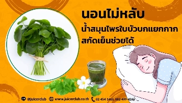 สมุนไพรใบบัวบก1