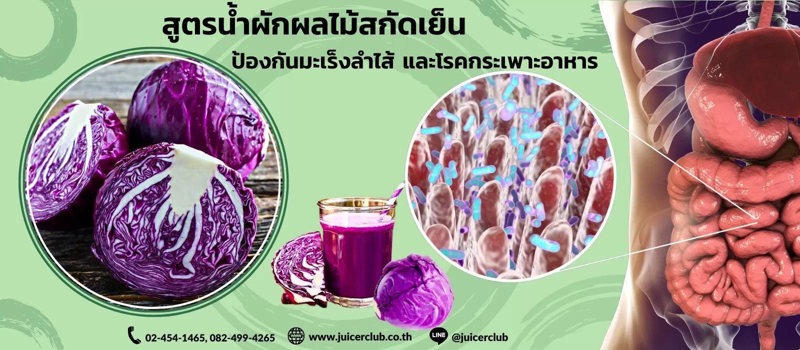 น้ำคั้นกะหล่ำปลีสกัดเย็นช่วยป้องกันแผลในกระเพาะอาหาร สาเหตุของการเกิดมะเร็งลำไส้ และกระเพาะอาหาร