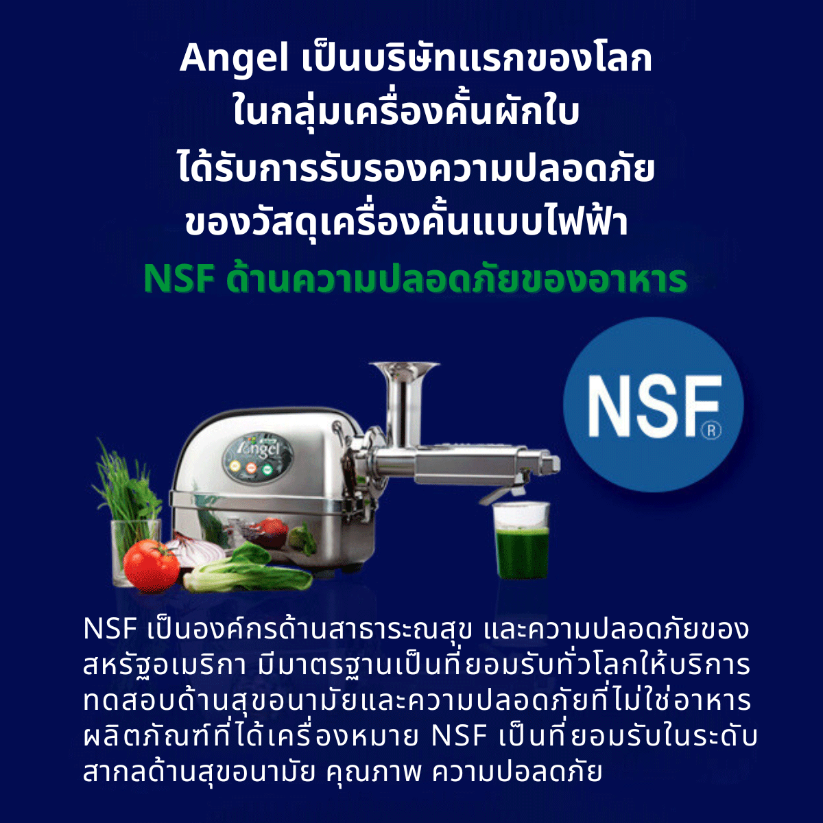 Angel juicer Nsf