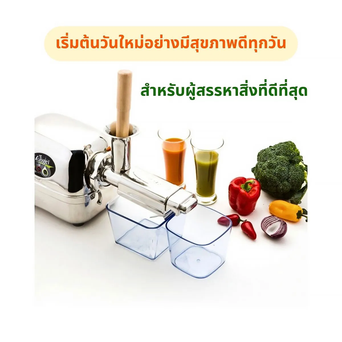 เครื่องคั้นแยกกากน้ำผักผลไม้ สกัดเย็น Angel Juicer