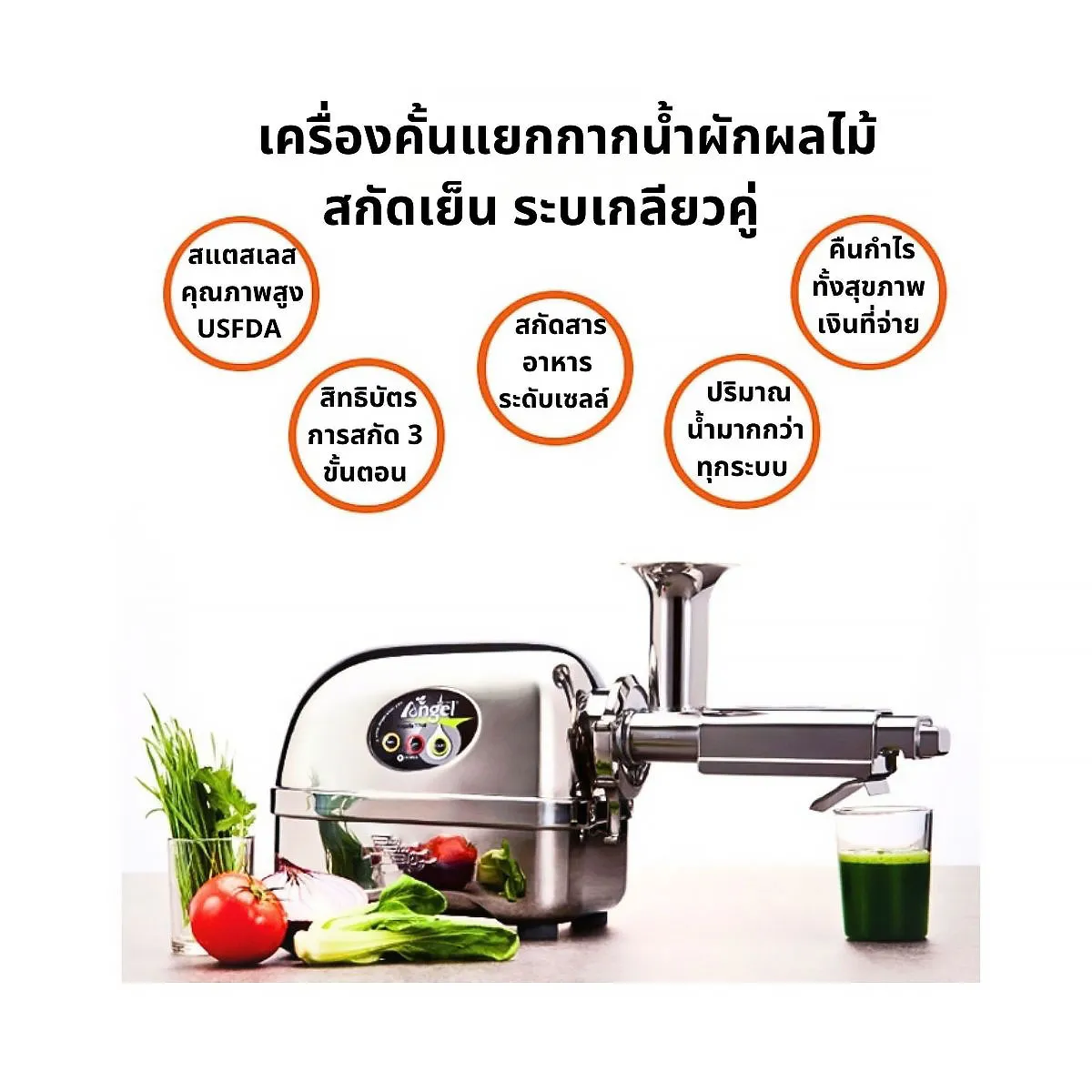 เครื่องคั้นแยกกากน้ำผักผลไม้ สกัดเย็น Angel Juicer