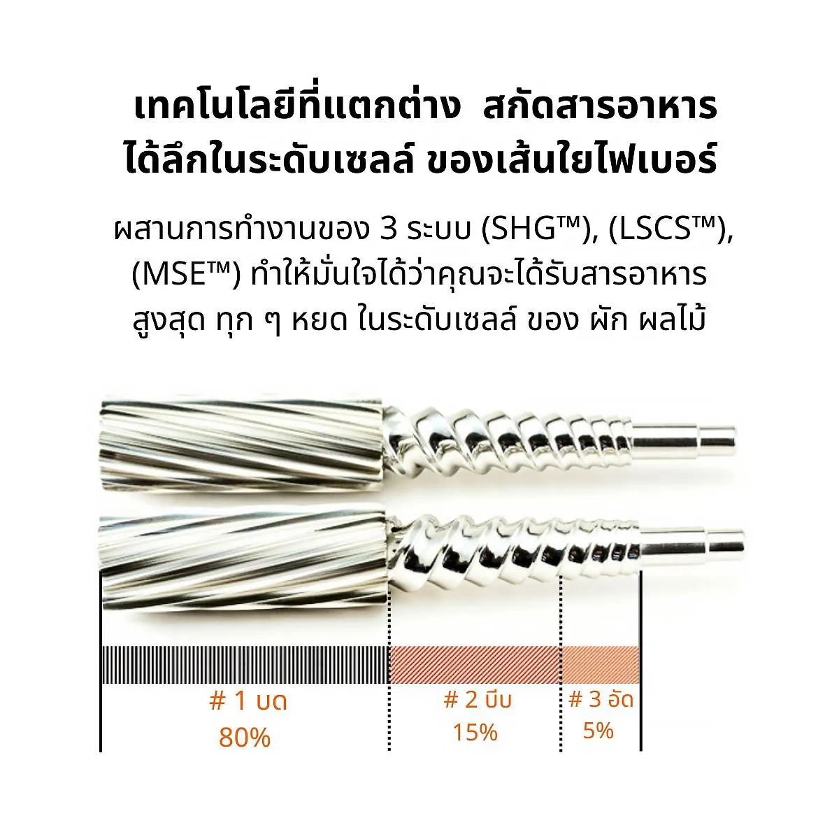 เครื่องคั้นแยกกากน้ำผักผลไม้ สกัดเย็น Angel Juicer