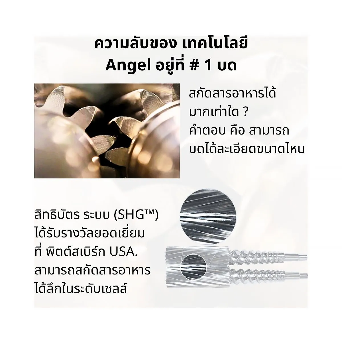 เครื่องคั้นแยกกากน้ำผักผลไม้ สกัดเย็น Angel Juicer