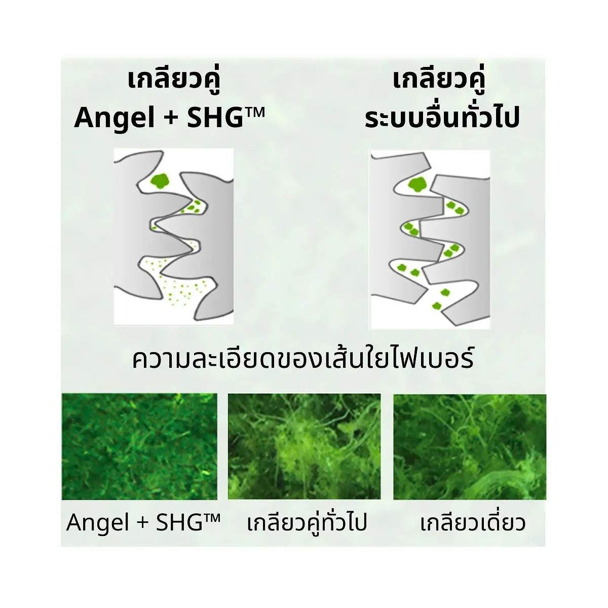 เครื่องคั้นแยกกากน้ำผักผลไม้ สกัดเย็น Angel Juicer