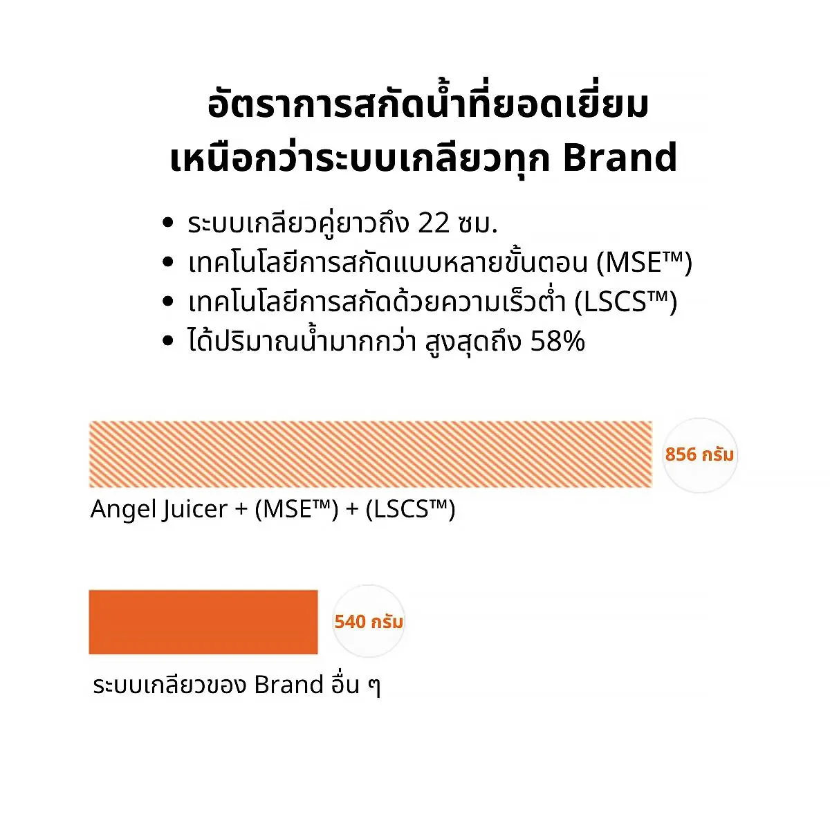 เครื่องคั้นแยกกากน้ำผักผลไม้ สกัดเย็น Angel Juicer